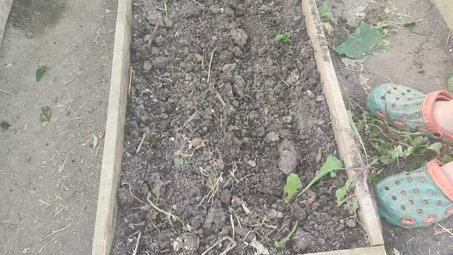 Подготавливаем грядки для томатов осенью. смотреть онлайн