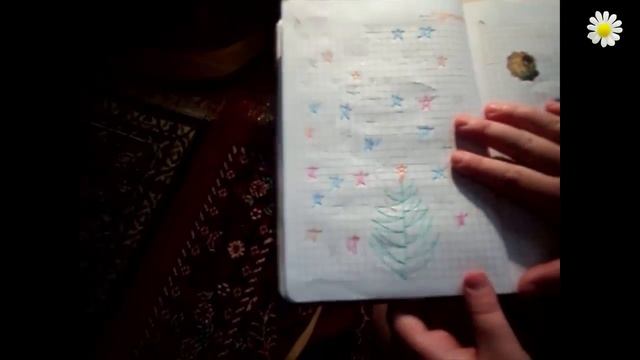 Обзор моего личного дневника / Overview of my personal diary смотреть онлайн