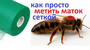 #пчёлы. Как я очень быстро просто наношу метки на пчелиных маток. Без всяких покупных приспособлений