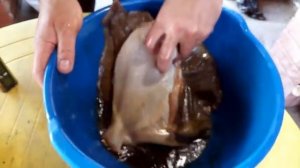 ? Неймоверный Калкан(Камбала) на мангале  #калкан #камбала