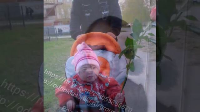 с днём рождения, наше солнышко! смотреть онлайн