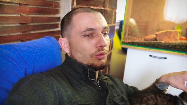 Что стало с аквариумом 200л после запускания цихлид к мирным рыбам. смотреть онлайн