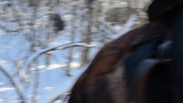 Лайма и Бой Шестопалова-вольерный кабан смотреть онлайн