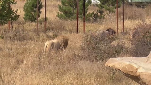 Чук и его команда?❤ Парк 