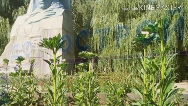Знакомые места нашего города. Дзержинск Донецкая область. смотреть онлайн