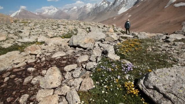 АЛАГИР wmv смотреть онлайн