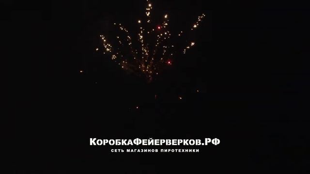 мегасалют МОНСТРО 49 залпов смотреть онлайн