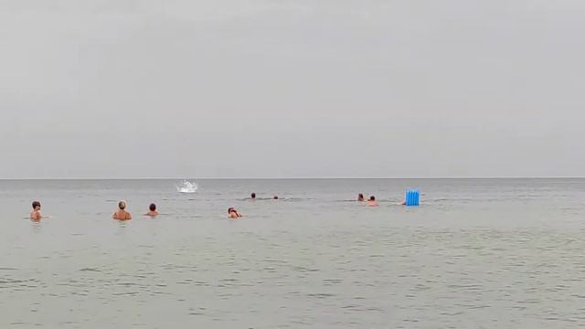 ВИТЯЗЕВО. ДЕЛЬФИНЫ В 10 УТРА. 4 ИЮЛЯ 2021 ГОД смотреть онлайн