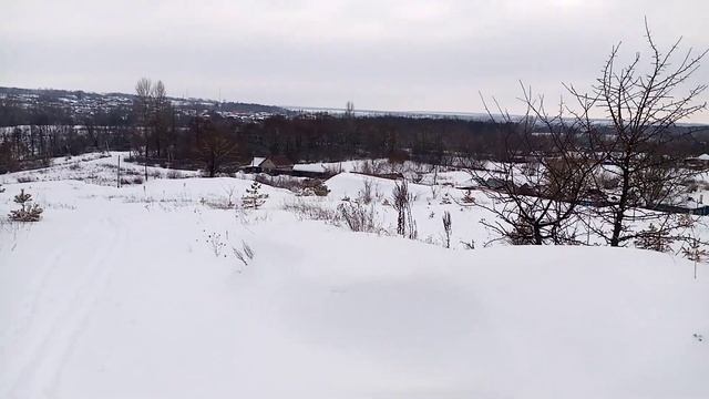 Сотни Блох Напали на Меня!!! Природа сходит с ума! Снежные блохи 4 февраля в - 3°c смотреть онлайн