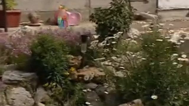 МЕМБРАНЫ ДЛЯ САДА И ЛАНДШАФТА смотреть онлайн