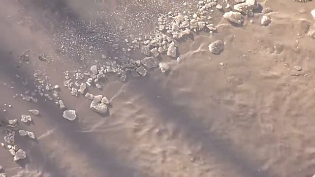 Панасоник смотреть онлайн