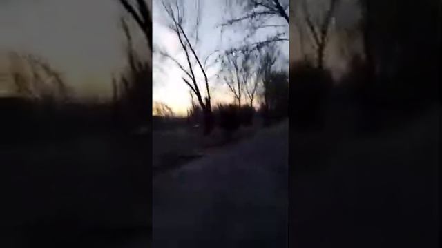 Сарыагаш, утренний парк Алик Тасболтаев смотреть онлайн