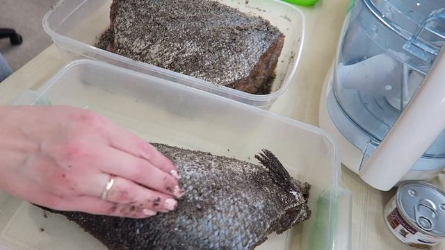 Купили ГРИЛЬ / Самые дорогие помидоры / Обзор продуктов / Распаковка посылок / Vika Siberia LifeVlo смотреть онлайн