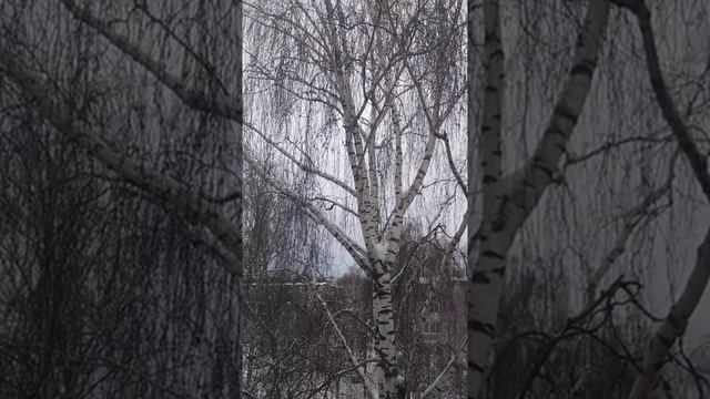 13 декабря 2021 г.! "СОН". смотреть онлайн