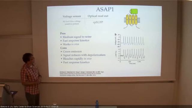 ELSC lecture Vincenct Peiribone 11/5/2015 смотреть онлайн
