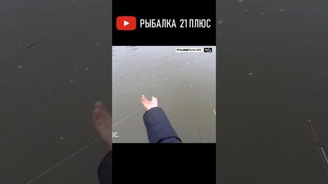 Сом ломает катушку. Рыбалка в Астрахани. Ловля сома. смотреть онлайн