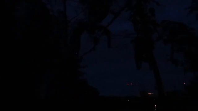 Соловьи поют ночью*Nightingales sing at night*SOLO-WAY Одинокий Путь... смотреть онлайн