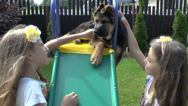 София и Фаина Зализко - "Жёлтый самолёт" смотреть онлайн