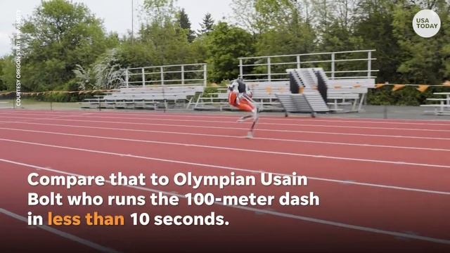 ‘Cassie’ sets world record for fastest 100 meters by a bipedal robot | USA TODAY смотреть онлайн