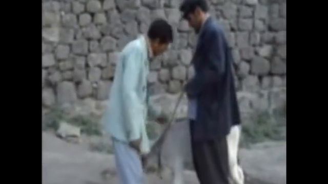 TINAZ 2 Golık смотреть онлайн