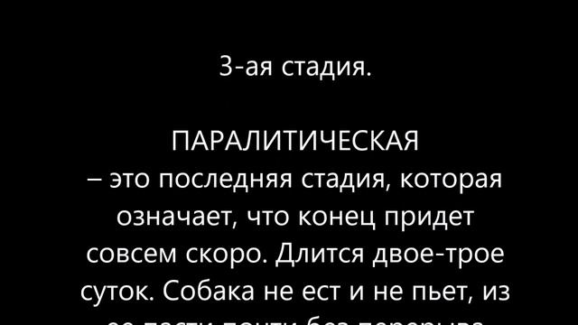 Бешенство у собаки - симптомы бешенства у пса смотреть онлайн