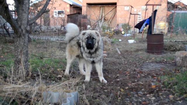 DSC 0876 смотреть онлайн