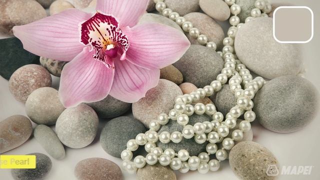 Elastocolor Line смотреть онлайн