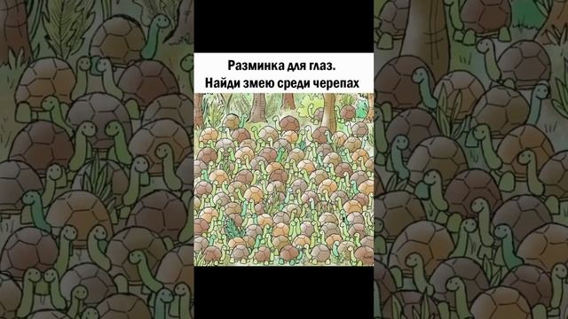 FIND THE SNAKE ? смотреть онлайн