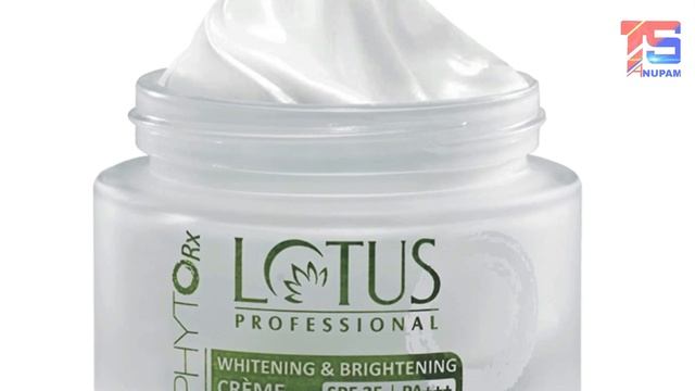 সব থেকে ভালো মুখের ক্রিম কোনটা | Best Night Cream & Day Cream | Best Face Cream смотреть онлайн