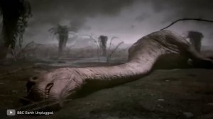 100 Самых Опасных Рыб в Мире