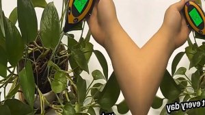 Рейтинг ТОП 5: Лучшие измерители кислотности и влажности почвы с АлиЭкспресс | Тестер PH почвы