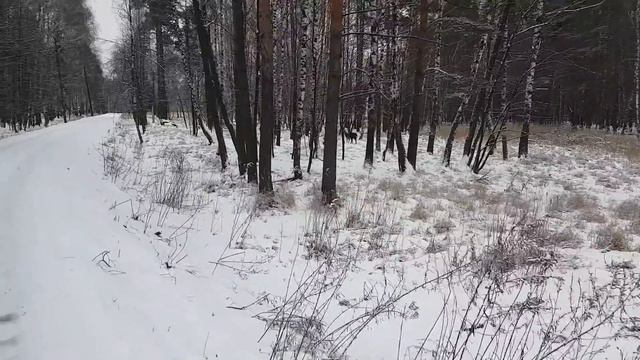 Лосиный остров. Москва. смотреть онлайн