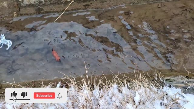 Учим Животных на английском Корова Леопард Лошадь Динозавр Слон Овца Развивающие Мультики для Детей смотреть онлайн