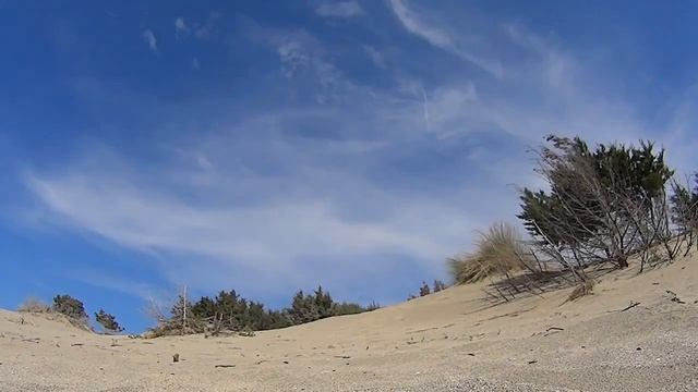 Экшн камера. Sony HDR-AS100V