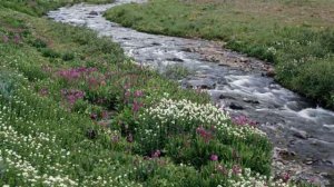 Дилижанс - Частушки