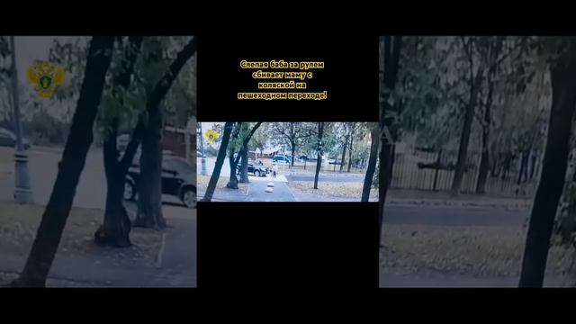 Слепая баба за рулем сбивает маму с коляской на пешеходном переходе! #авария #пдд #ненатогонарвалис смотреть онлайн