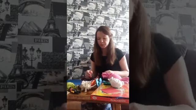 Рекомендации по организации онлайн-занятий смотреть онлайн