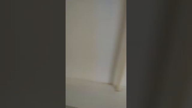 "Красота",окружающая жильцов дома по ул.Танкистов 23,г.Перми!!!! смотреть онлайн