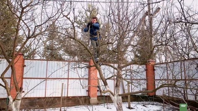 ОБРЕЗКА ВЗРОСЛОЙ ЯБЛОНИ ВЕСНОЙ. Повышение урожайности обрезка яблони весной смотреть онлайн