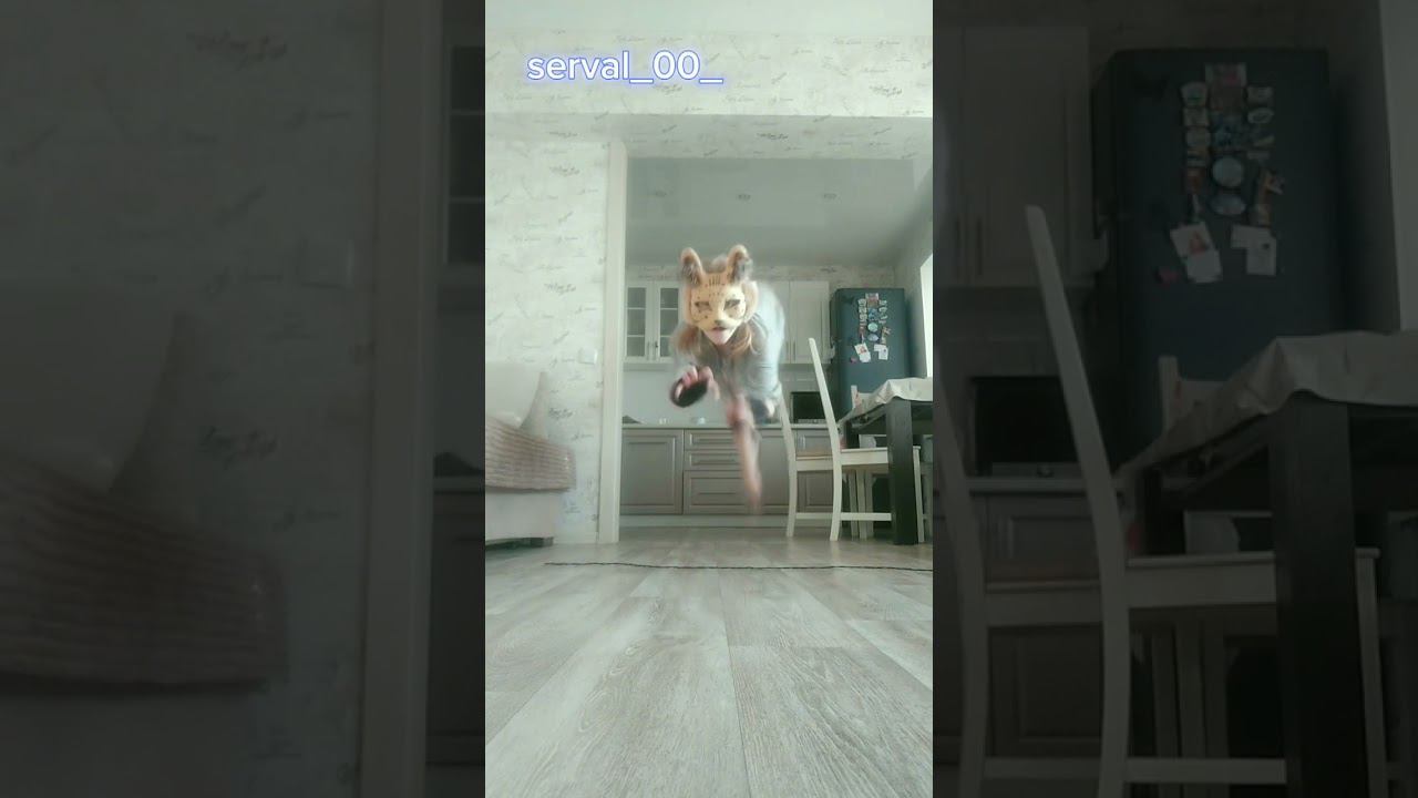 #quadrobics #therian #квадробика #глобальныерекомендации #кошка #спорт #2023 #2024 #квтоп #обожаю смотреть онлайн