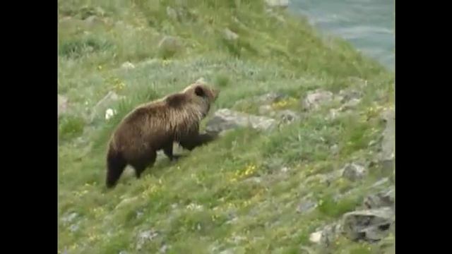 24_06_2011_Хэбденек - эвенский Новый год в Магадане