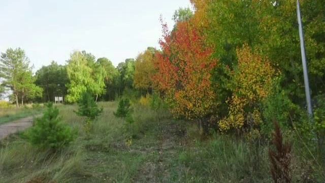 Степногорский парк вчера и сегодня смотреть онлайн