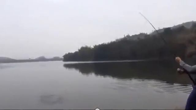 самоподсекающая удочка для летней рыбалки видео смотреть онлайн