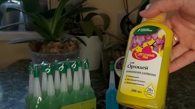 Готовлю ОРХИДЕИ к Пышному цветению Лучшее удобрение для ПЫШНОГО ЦВЕТЕНИЯ ОРХИДЕЙ смотреть онлайн