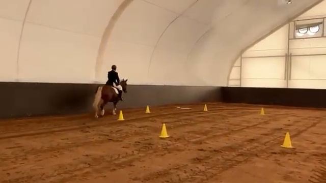 Алексей и Гортензия смотреть онлайн