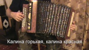 Калина красная, калина горькая разбор с цифрами