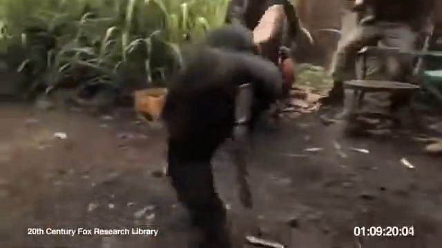 чумачечая обезьяна в буйнакске смотреть онлайн