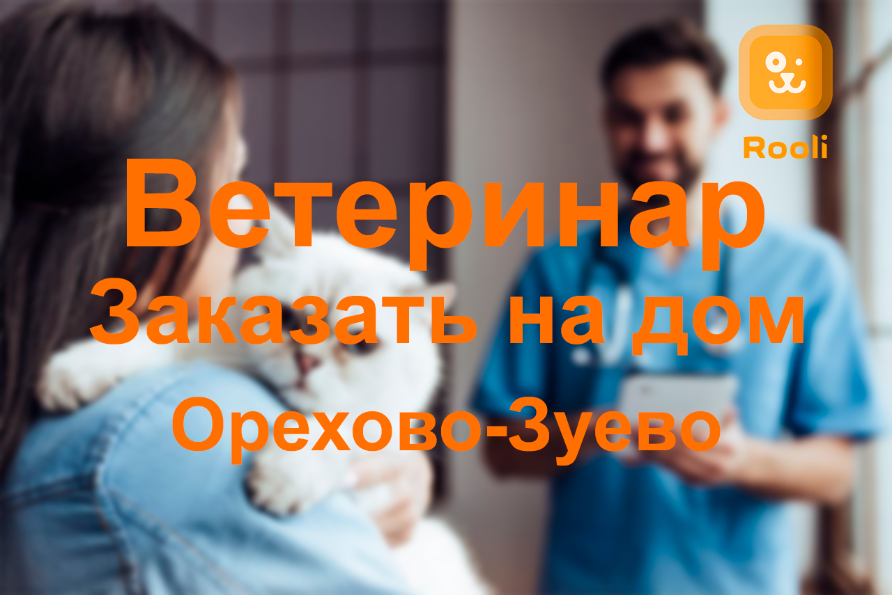 Ветеринар в Орехово-Зуево: Забота и лечение для ваших питомцев смотреть онлайн