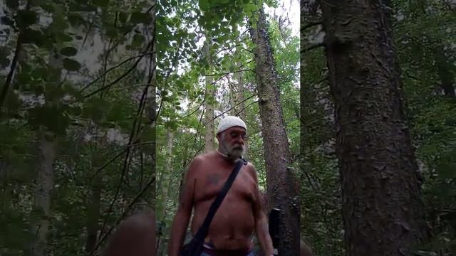 Riesenpilze am Rheinsteig mit dem super Bartmann смотреть онлайн