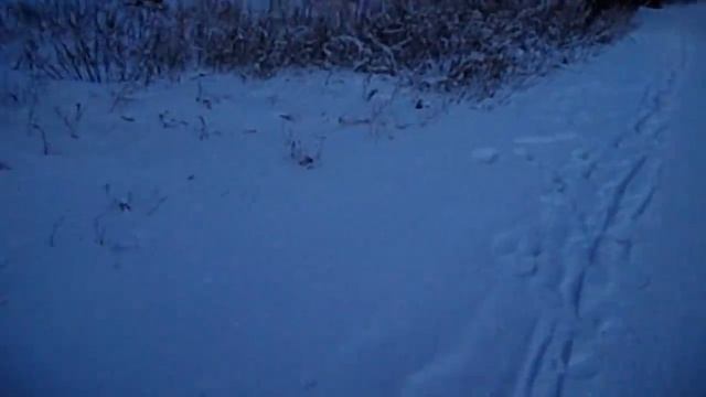 МАТЬ САМВЕЛА ХОТЕЛА ПРИКАРМАНИТЬ 1000 GRANDENIKO. РЕЦЕПТ БЛЮДА ОТ САМВЕЛА